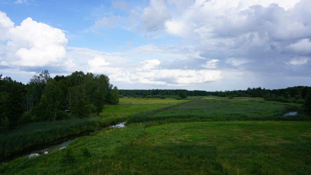 W odwiedzinach na Podlasiu – Białowieza 25