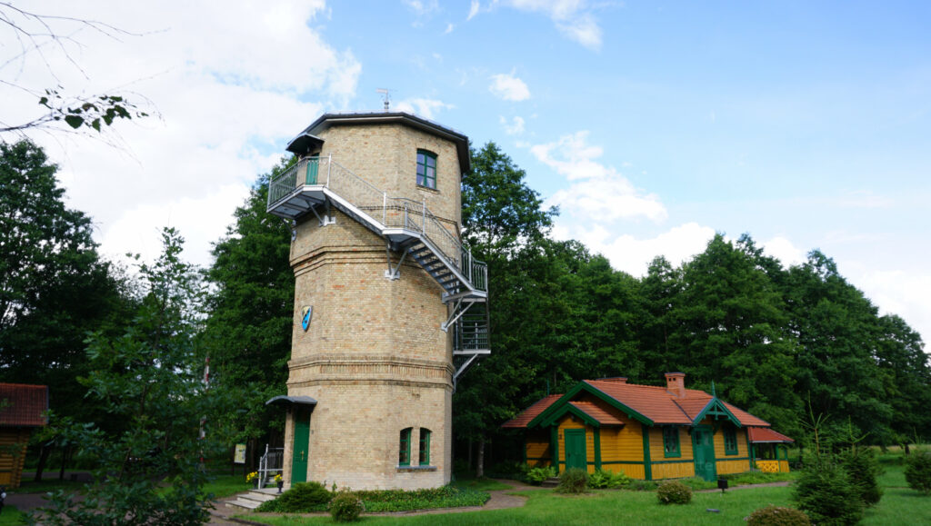W odwiedzinach na Podlasiu – Białowieza 26