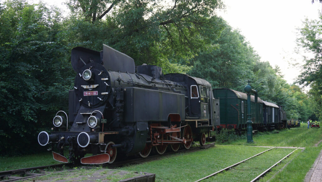 W odwiedzinach na Podlasiu – Białowieza 32
