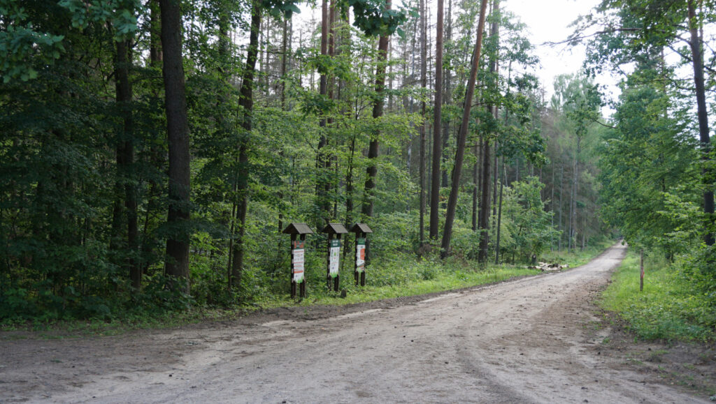 W odwiedzinach na Podlasiu – Białowieza 34