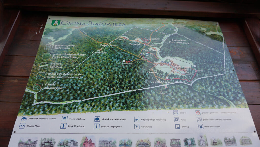 W odwiedzinach na Podlasiu – Białowieza 39