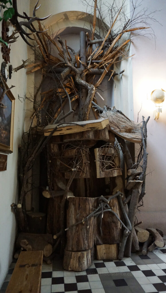 W odwiedzinach na Podlasiu – Białowieza 46