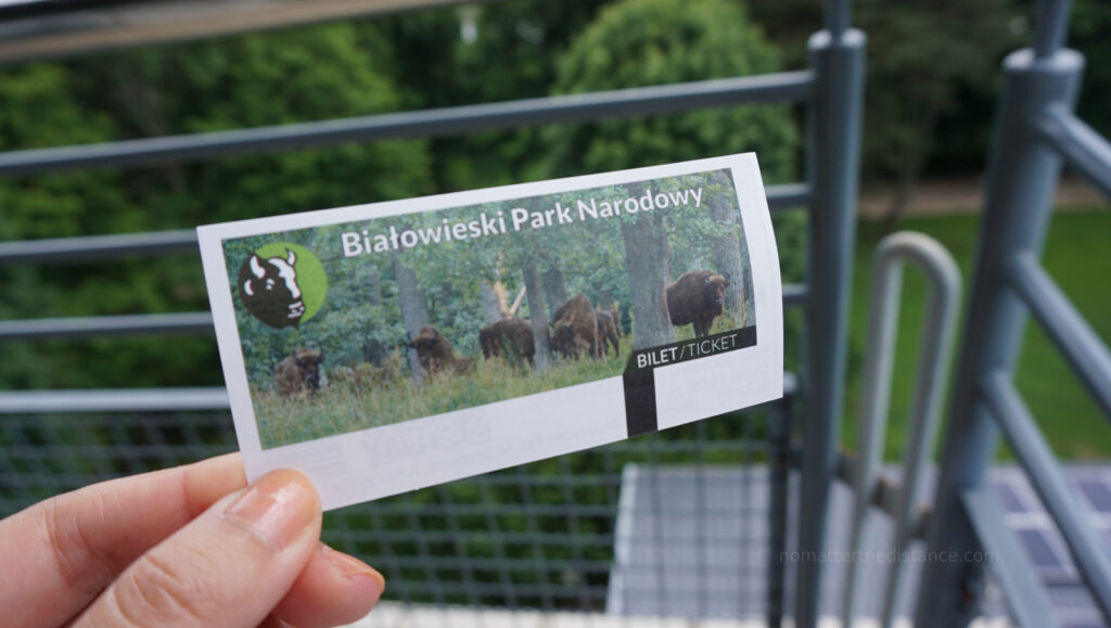 W odwiedzinach na Podlasiu – Białowieza 50